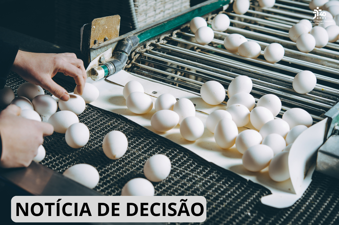Funcionário seleciona ovos brancos em uma esteira industrial, em ambiente de produção alimentícia.